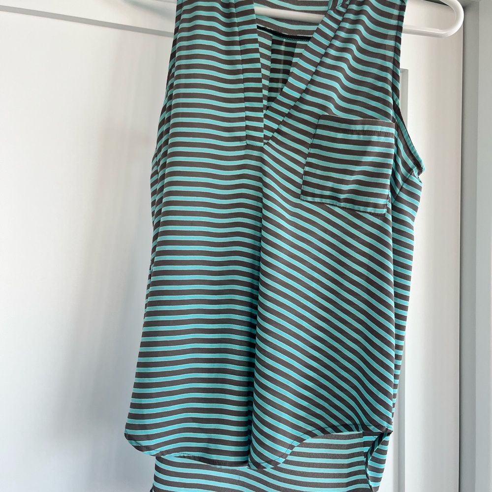 Striped Sleeveless Top - Blue and Grayish Brown